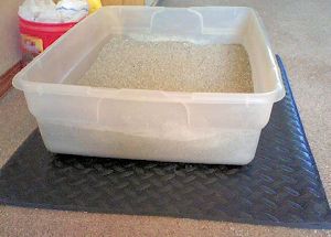 Underbed storage containers can make a really good big cat litter box