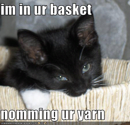 Flick-Dot-Buzz Fav LOL Cats: In your yarn