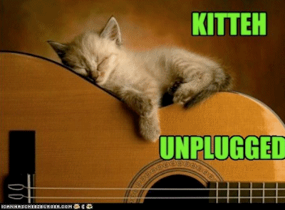 FDB Fav LOL Cats - Kitteh Unplugged - kitten with guitar