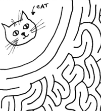 cat nip maze for cat lovers