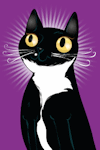 Dot the Cat pet portrait by Chris Beetow