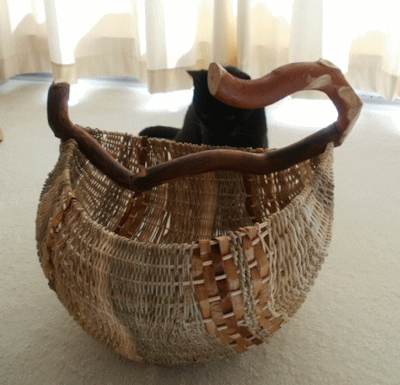 Buzz considers a basket
